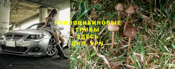 Альфа ПВП Бородино