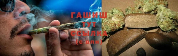 Альфа ПВП Бородино