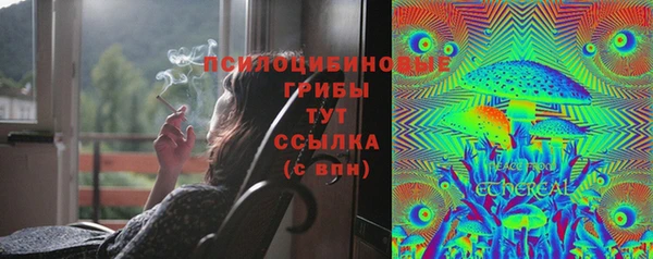 прущий лед Бронницы