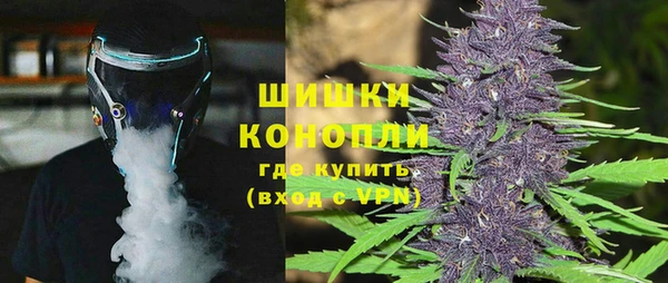 Альфа ПВП Бородино
